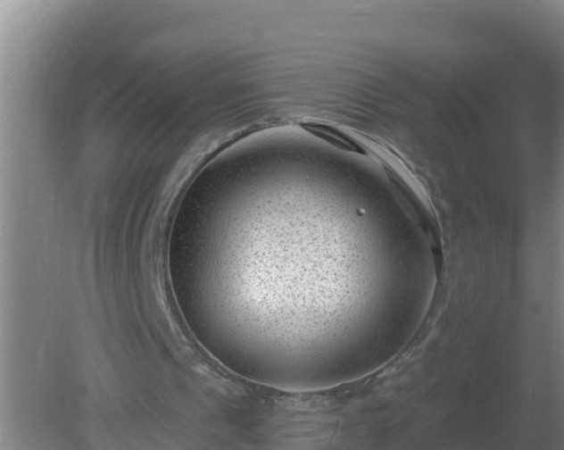 X0000080200241200612152047