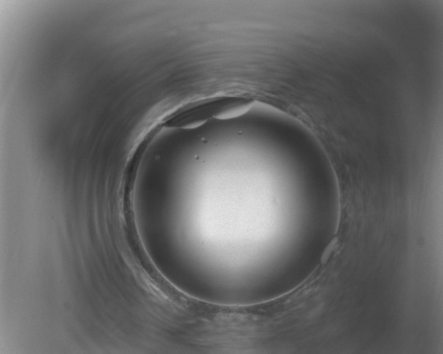 X0000080200242200612152047