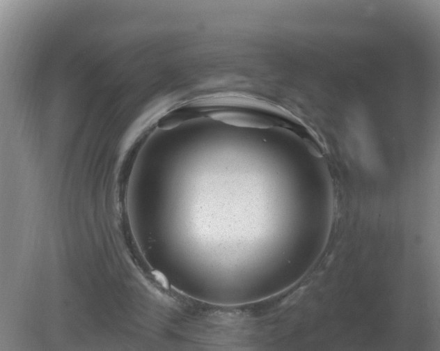 X0000080200245200612152047