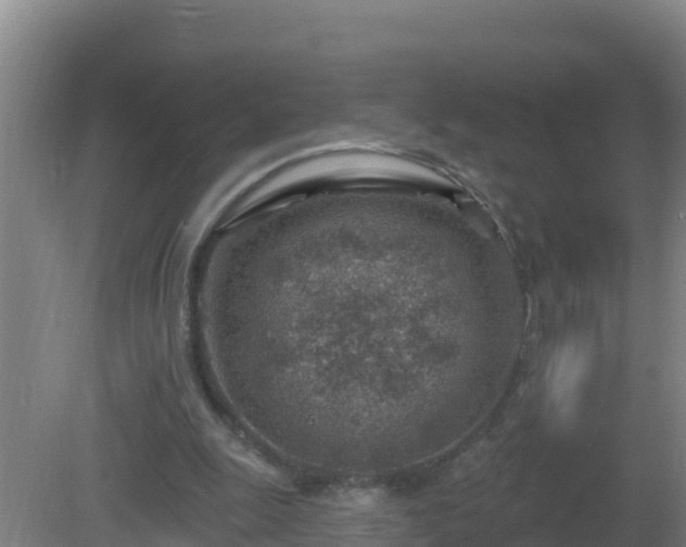 X0000080200247200612152047