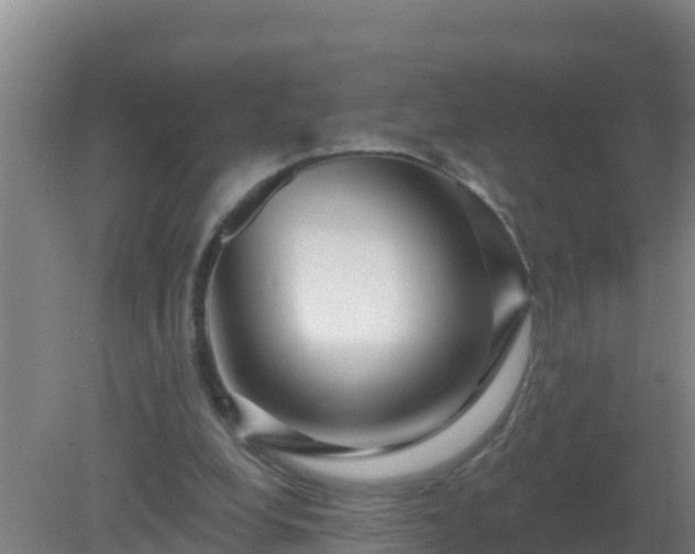 X0000080200248200612152047