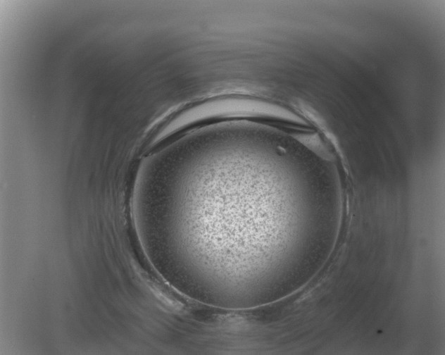 X0000080200249200612152047