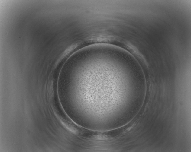 X0000080200250200612152047