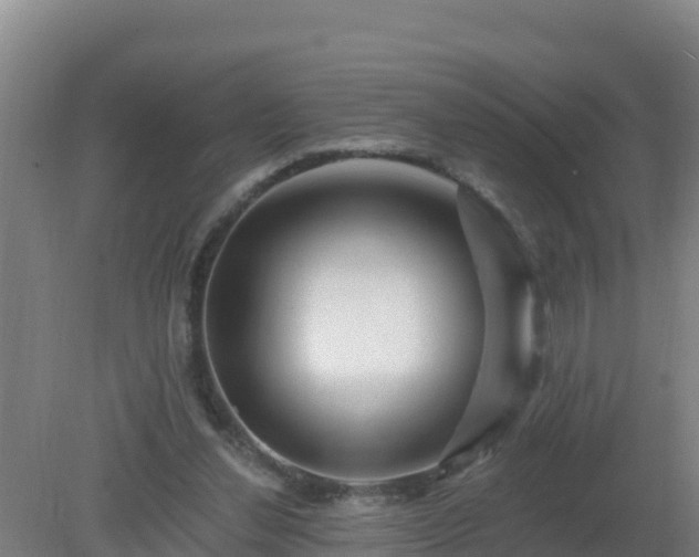 X0000080200252200612152047