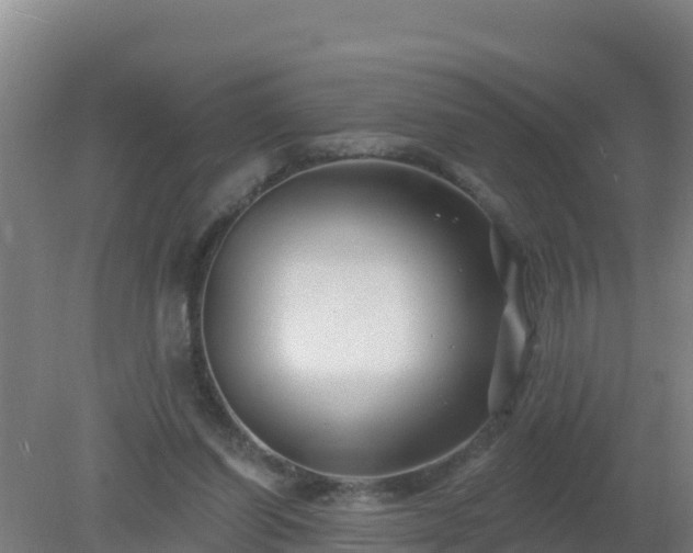 X0000080200254200612152047