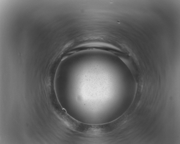 X0000080200260200612152047