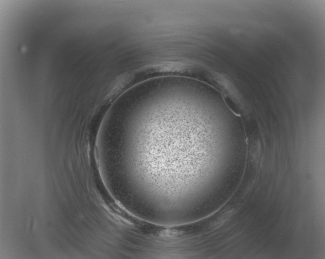 X0000080200261200612152047