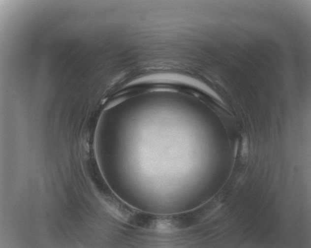 X0000080200264200612152047