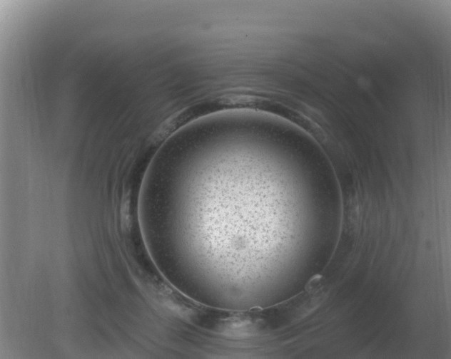 X0000080200267200612152048