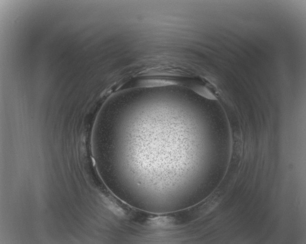 X0000080200269200612152048