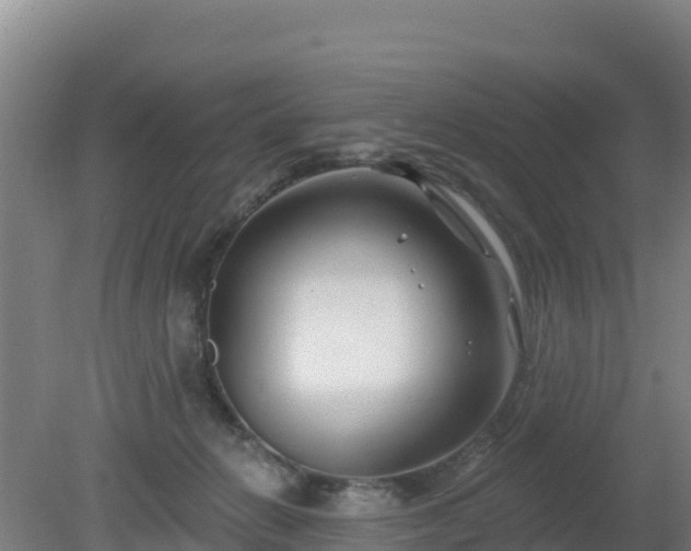 X0000080200270200612152048