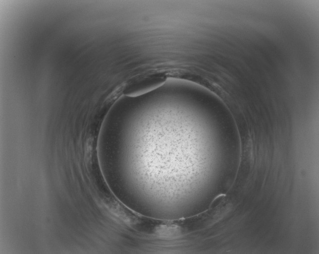 X0000080200271200612152048