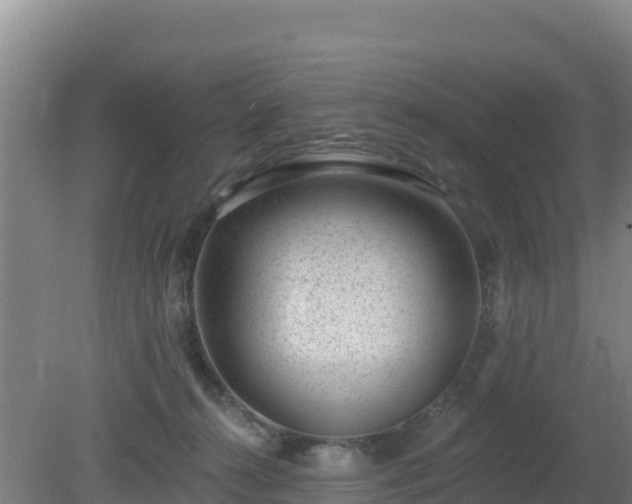 X0000080200272200612152048