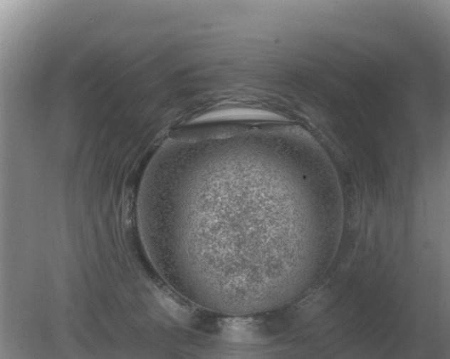 X0000080200273200612152048