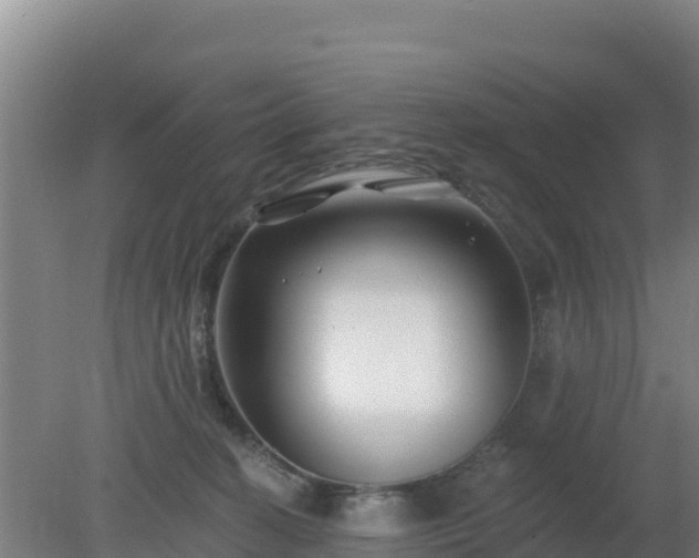 X0000080200274200612152048