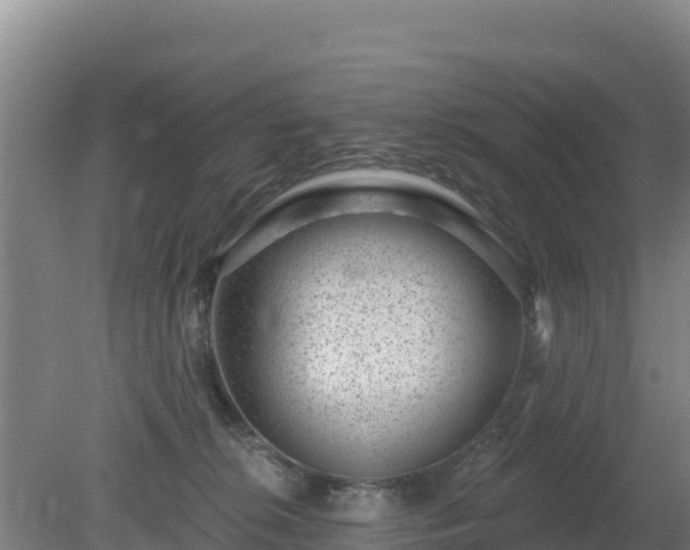 X0000080200276200612152048