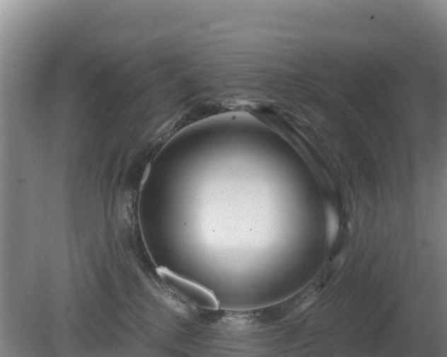 X0000080200280200612152048