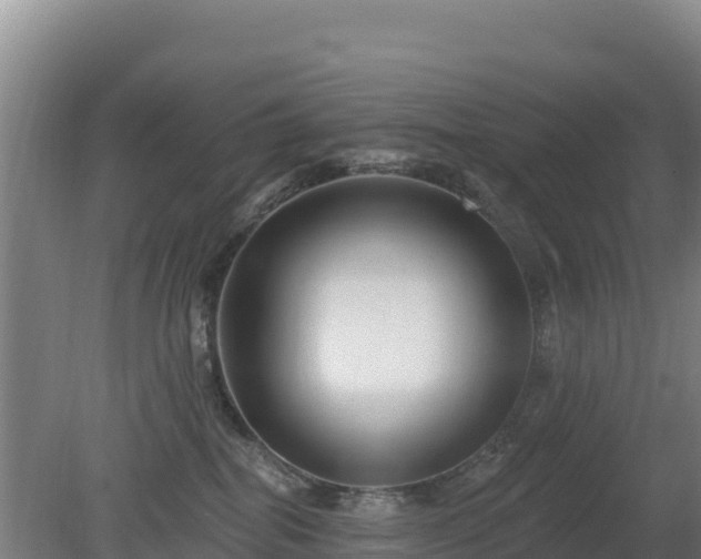 X0000080200282200612152048