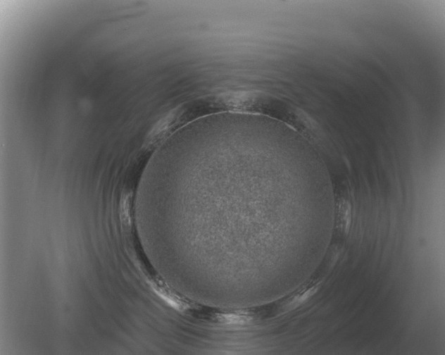 X0000080200286200612152048