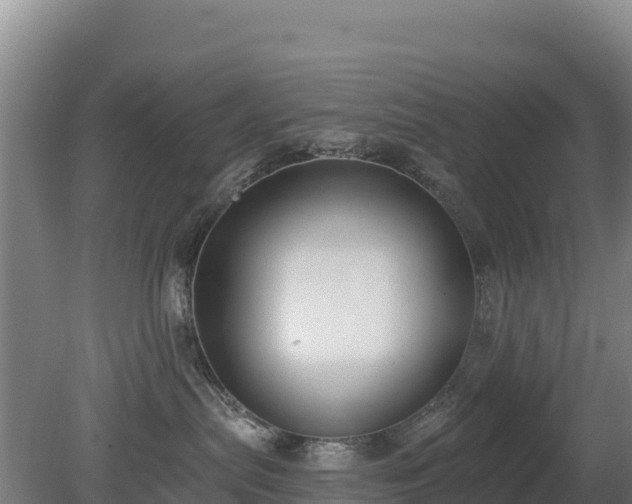 X0000080200287200612152048