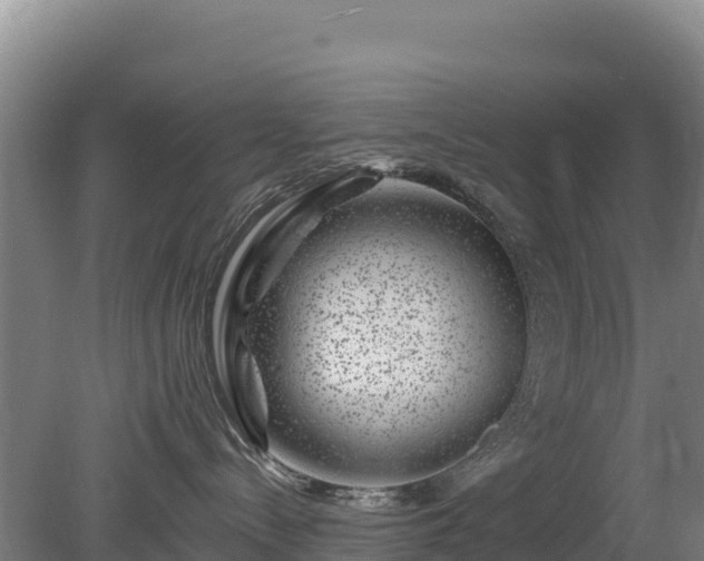 X0000080200288200612152048