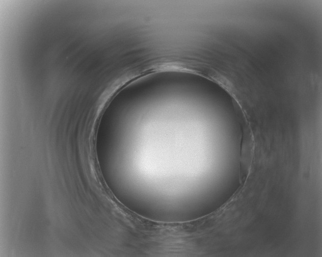 X0000080200289200612152047