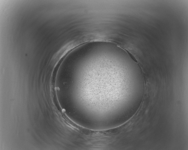 X0000080200290200612152047