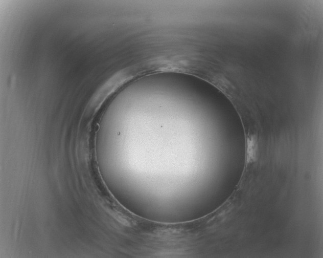 X0000080200291200612152047