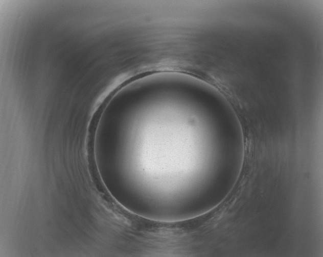 X0000080200292200612152047