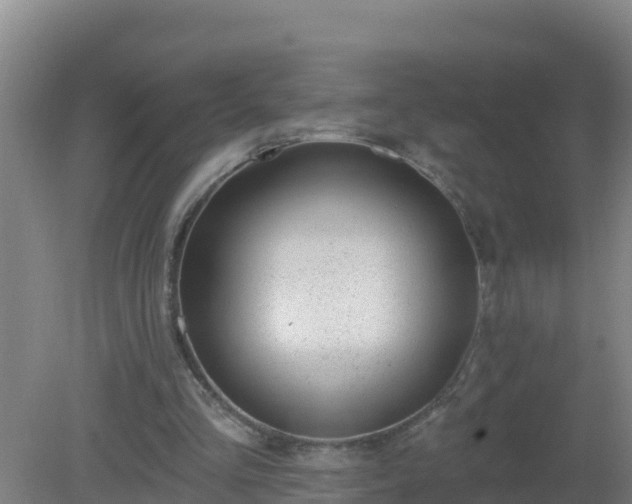 X0000080200293200612152047