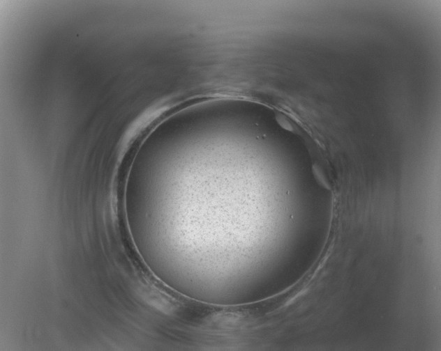 X0000080200294200612152047