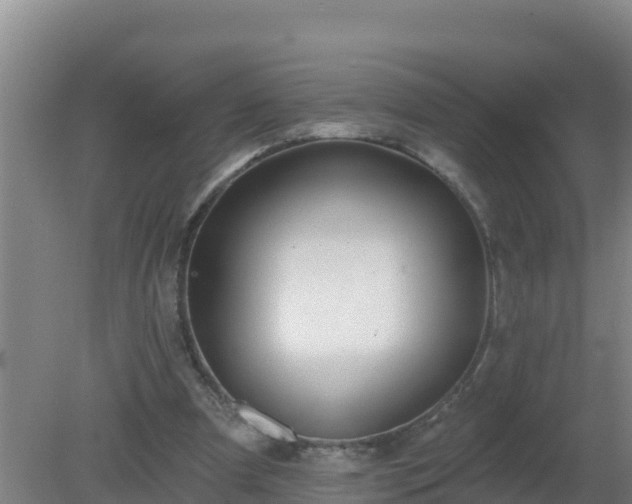 X0000080200297200612152047