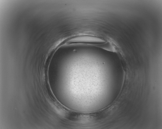 X0000080200298200612152047