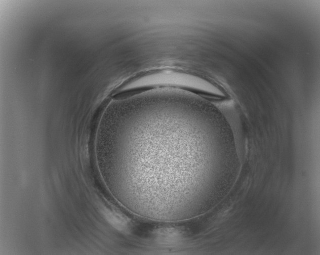 X0000080200299200612152047