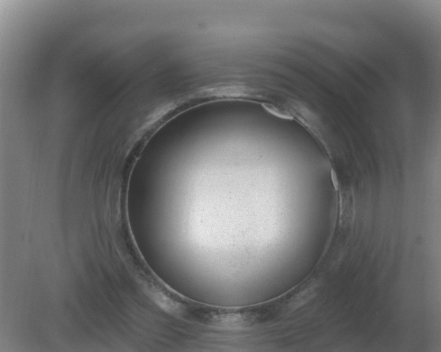 X0000080200301200612152047