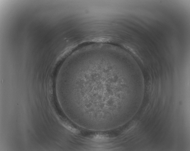 X0000080200303200612152047