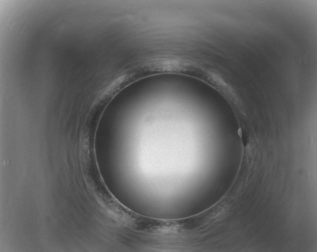 X0000080200306200612152047