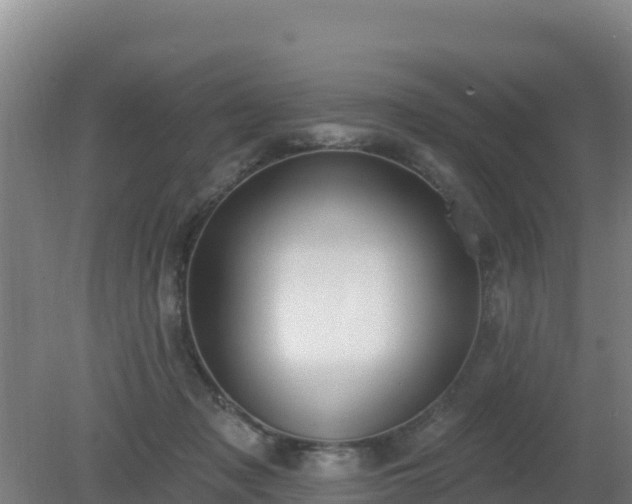 X0000080200317200612152047