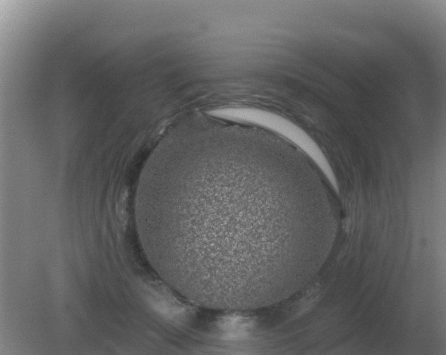 X0000080200319200612152047