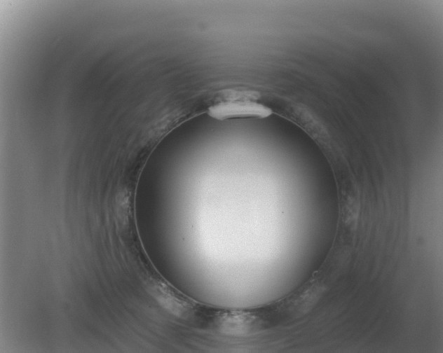 X0000080200321200612152047