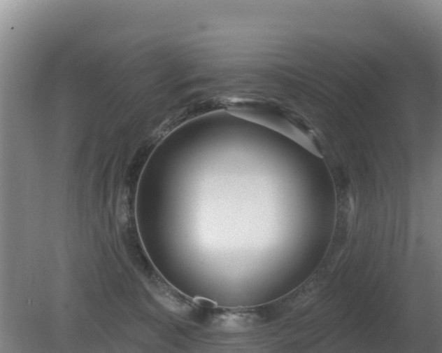 X0000080200323200612152047