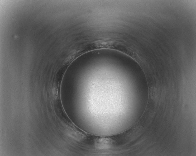 X0000080200324200612152046