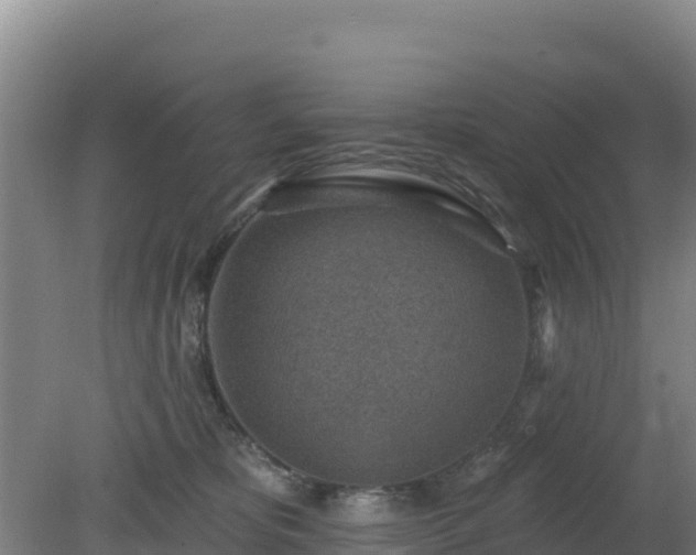 X0000080200325200612152046