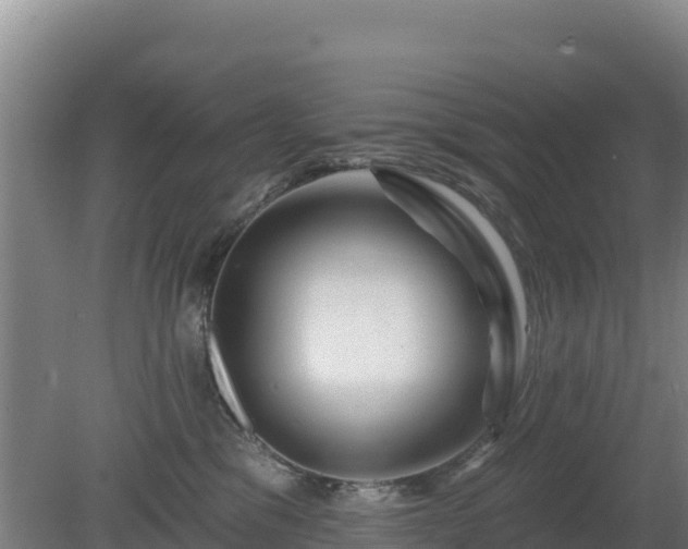 X0000080200329200612152046