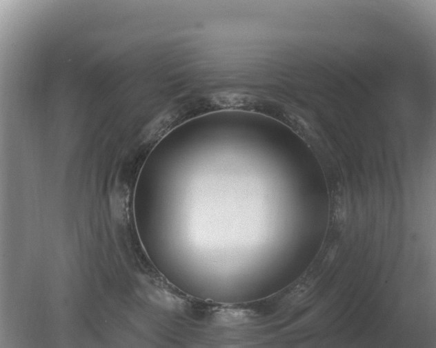 X0000080200332200612152046