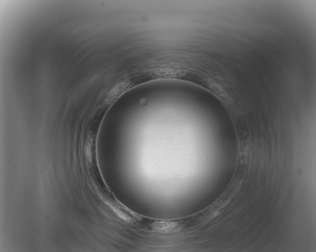 X0000080200334200612152046