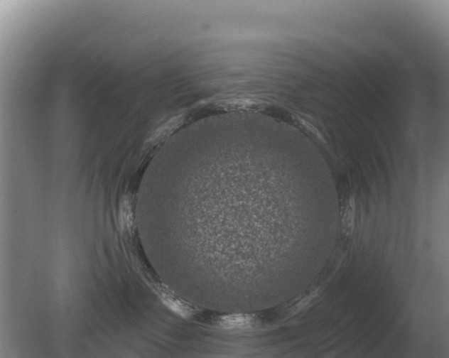 X0000080200335200612152046