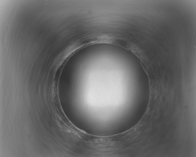 X0000080200338200612152045