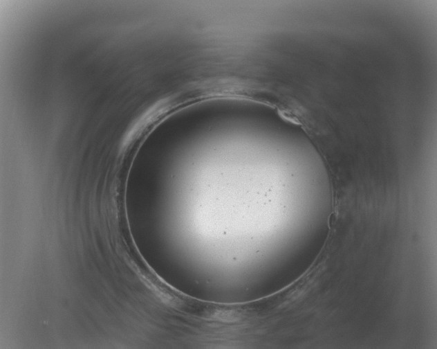 X0000080200341200612152046