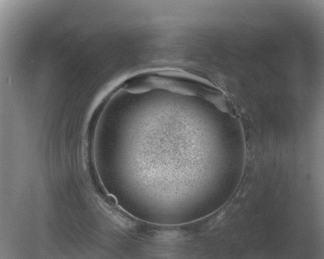 X0000080200342200612152046